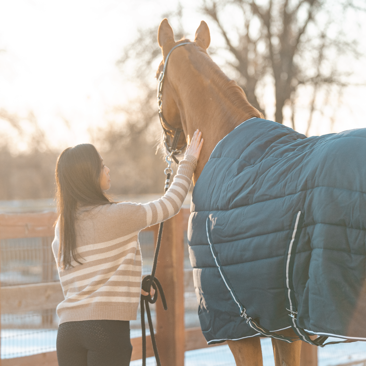 Kickstart your Riding Goals out of the Saddle: How to Build a Sustainable Fitness Plan for Equestrians that will Last All Year! with Jamie Graham of Haybales and Barbells