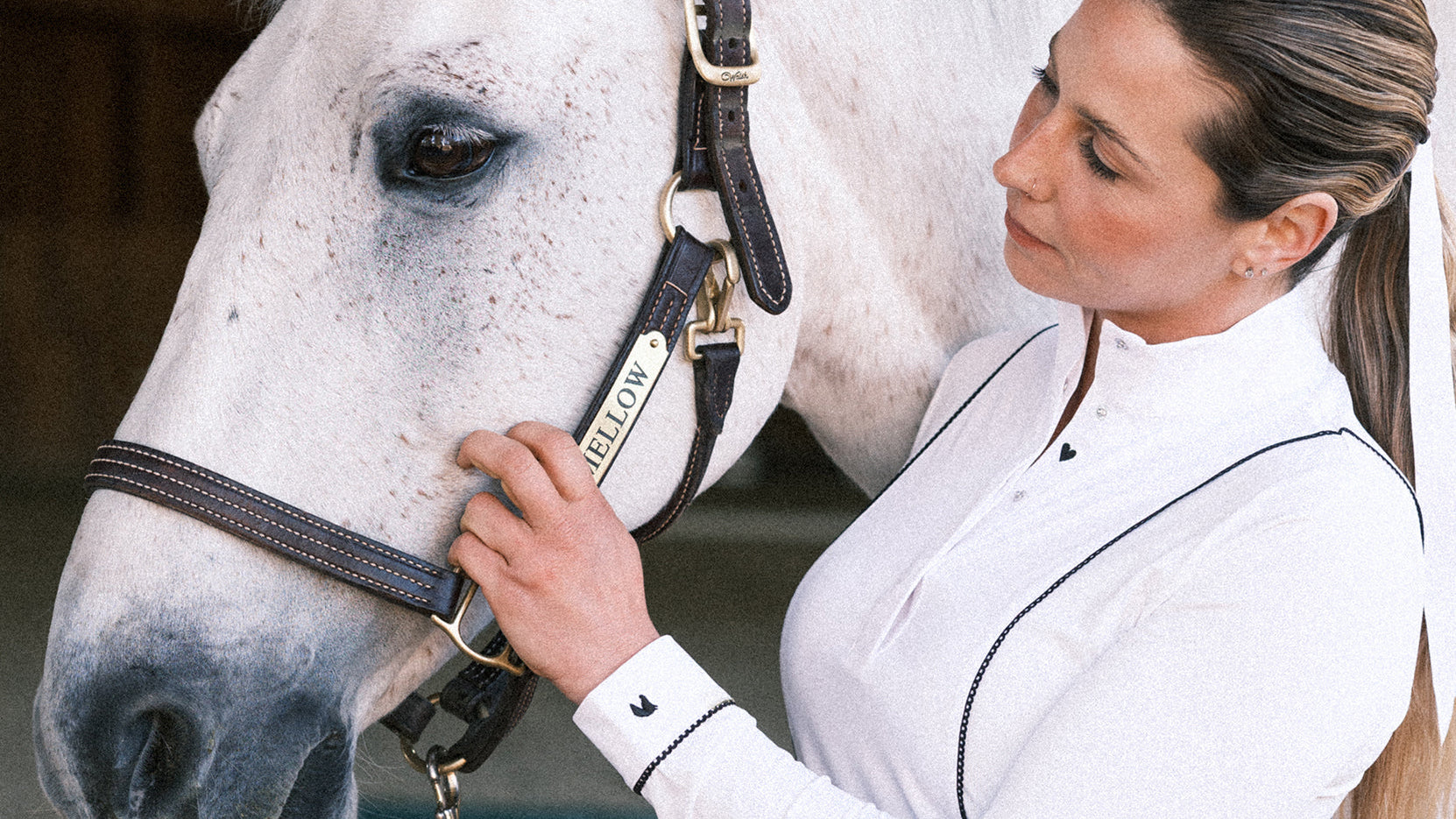 Heart Horse Collection