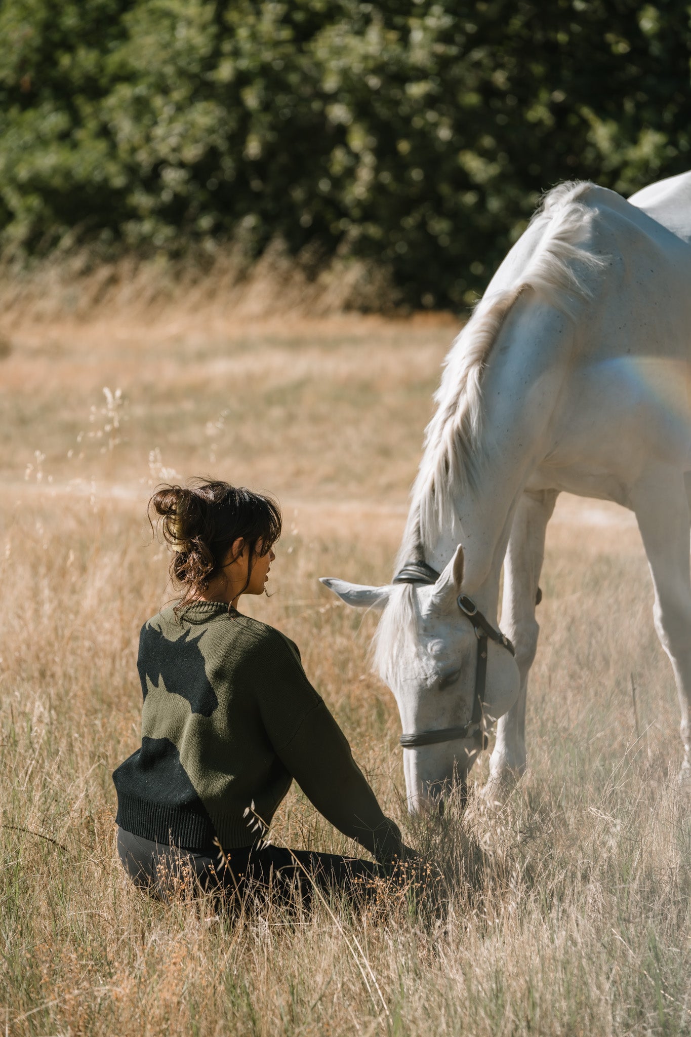 Harmony Crew Neck Sweater