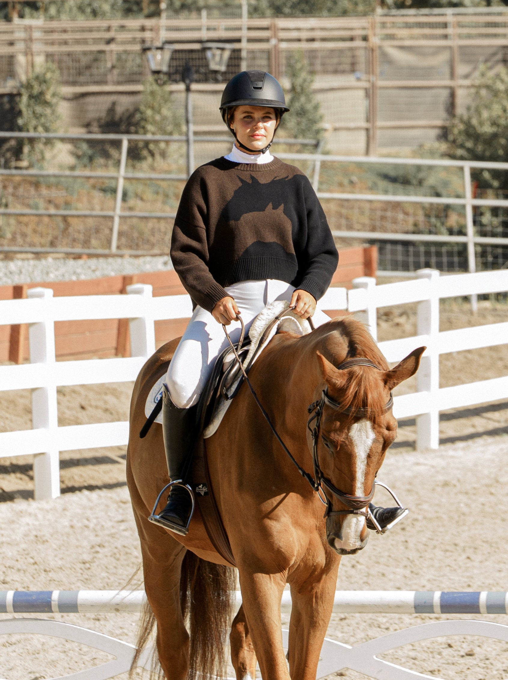 A person riding a brown horse in an outdoor equestrian arena, wearing a black helmet, dark brown and black sweater, white breeches, and black riding boots. White fences and fencing are visible in the background.